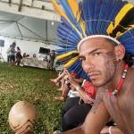 Tamandaré Tupinambá Profile Picture