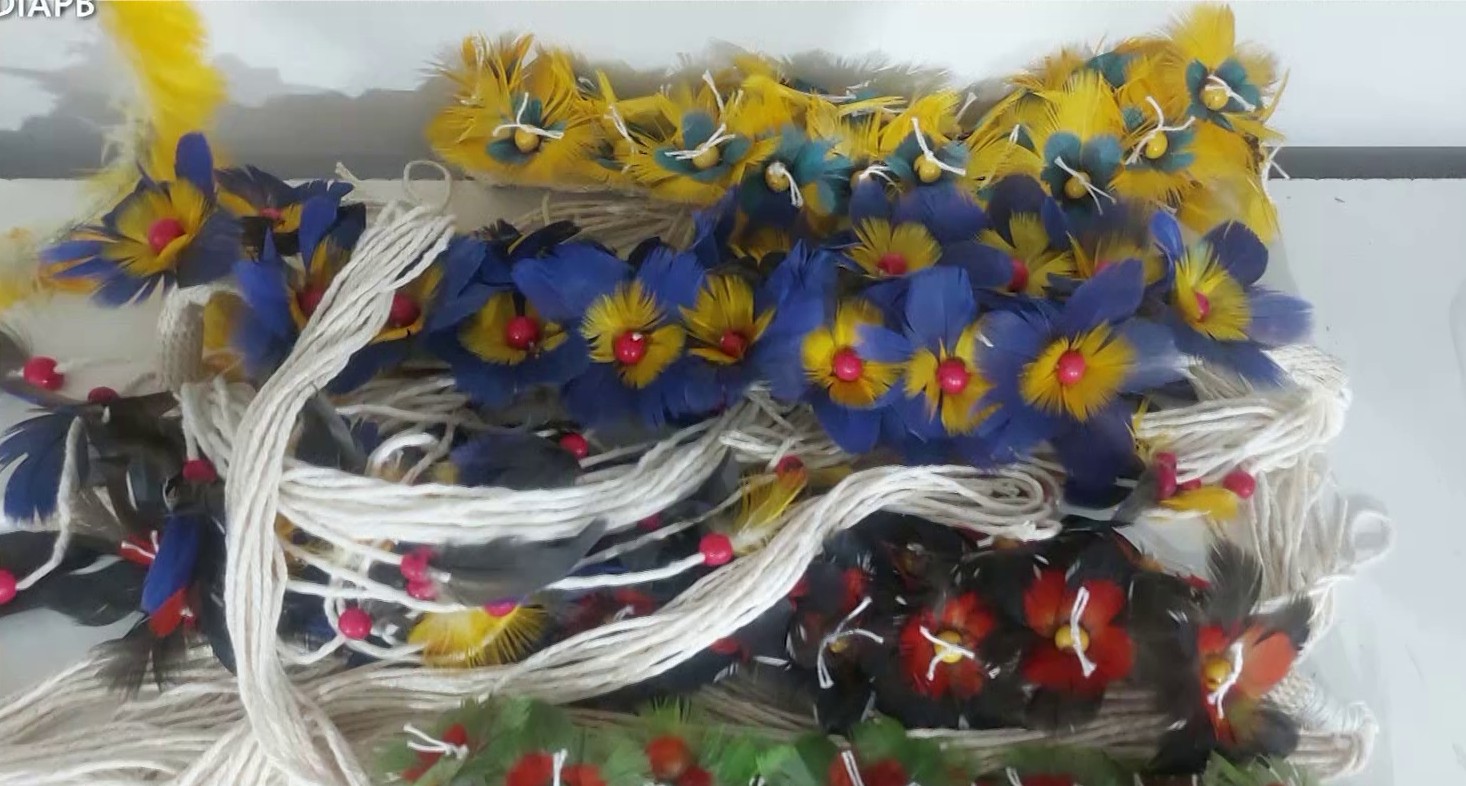 Ibama apreende peças indígenas com penas de aves em extinção no Salão do Artesanato | G1