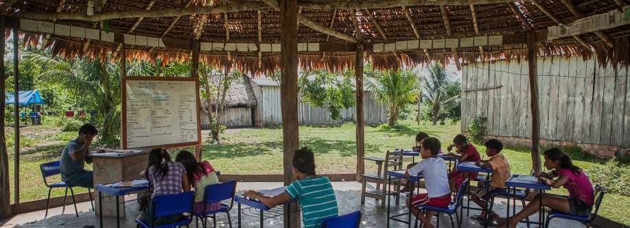 Educação Indígena e Indígenas na Educaçã Cover Image