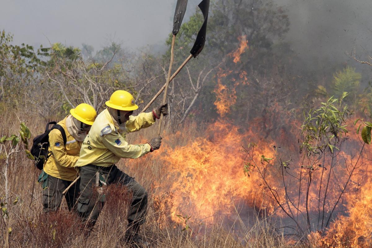 ?? Conhecimento indígena fortalece a prevenção de incêndios no Xingu