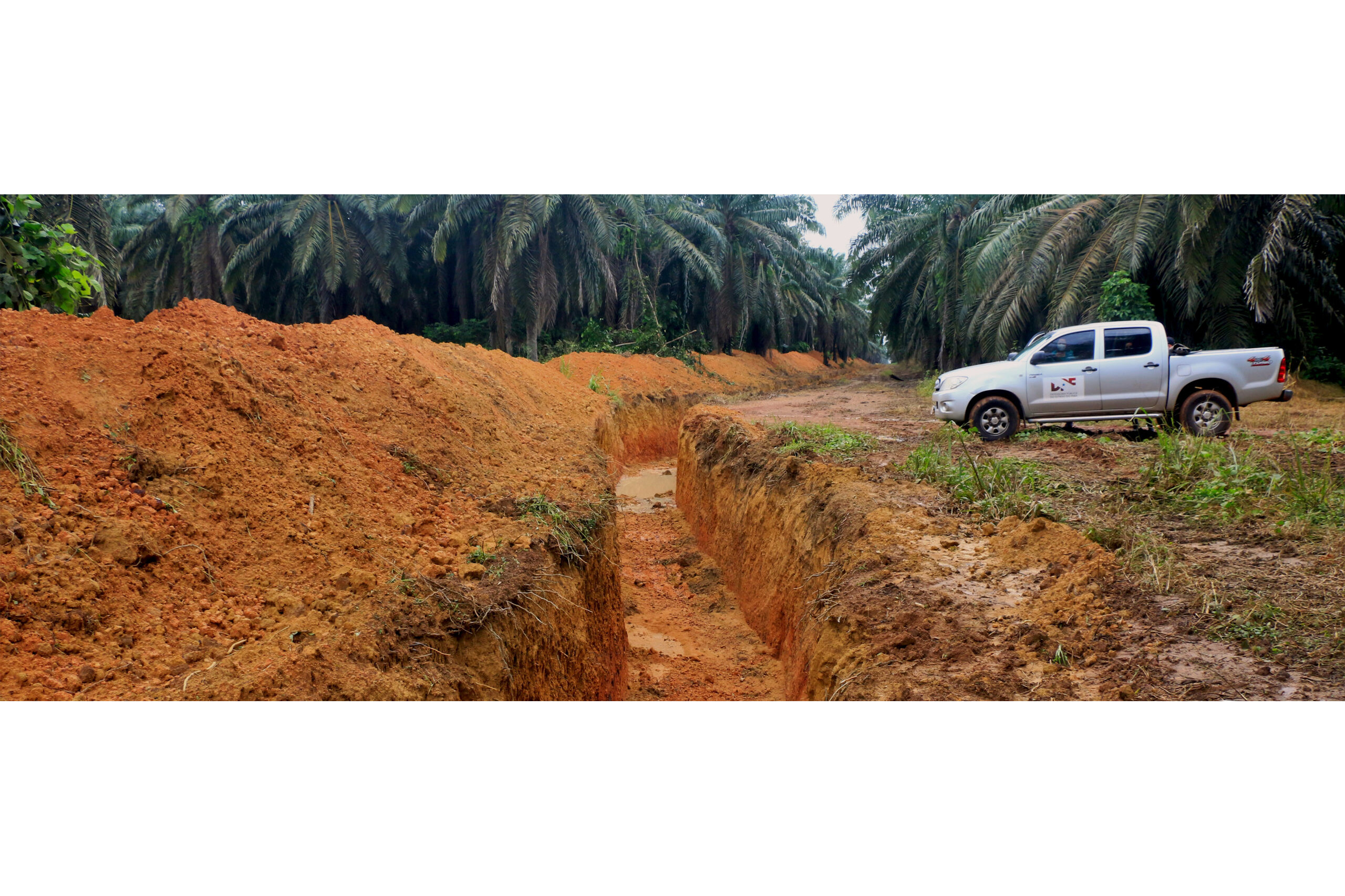 A luta pela terra na Amazônia brasileira contra empresas de dendê e mineradoras | Movimento Mundial pelas Florestas Tropicais