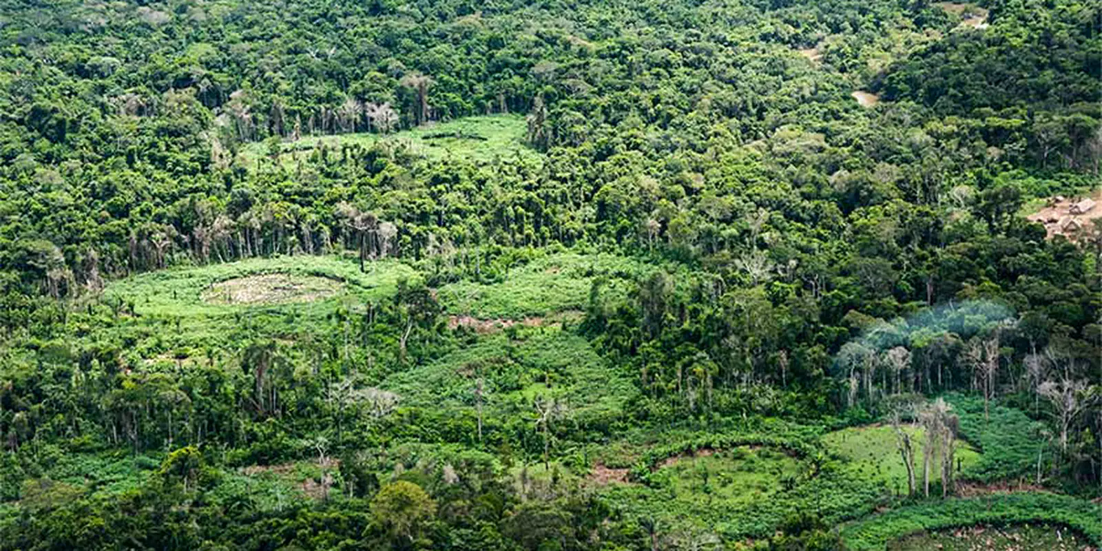 Amazônia: indígenas catalogam espécies para proteger biodiversidade | Agência Brasil